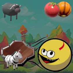 swift-ball-1