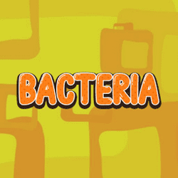 bacteria-1