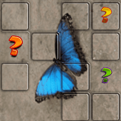 butterfly-memory-match-1