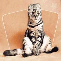 cat-puzzle-memory-match-1
