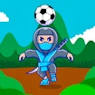 ninja-head-ball